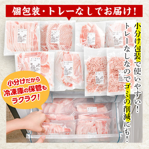 ＜定期便・全6回 (毎月)＞ 豚肉 バラエティーパック (2kg×6回・総量12kg) 【BD322】【西日本畜産】