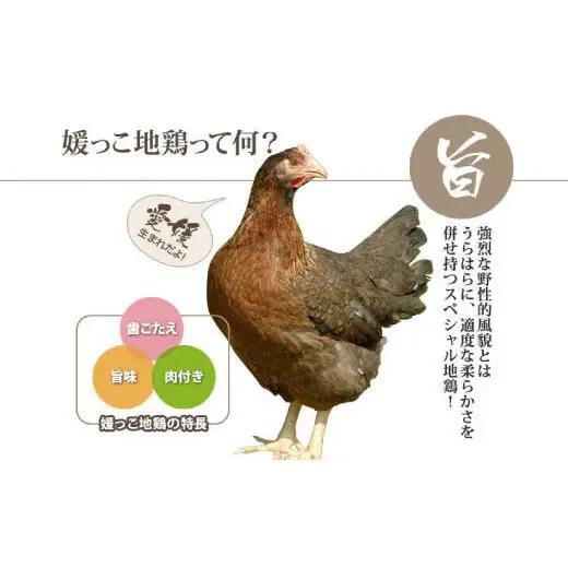 熊ヤン媛っこ地鶏のBBQセット