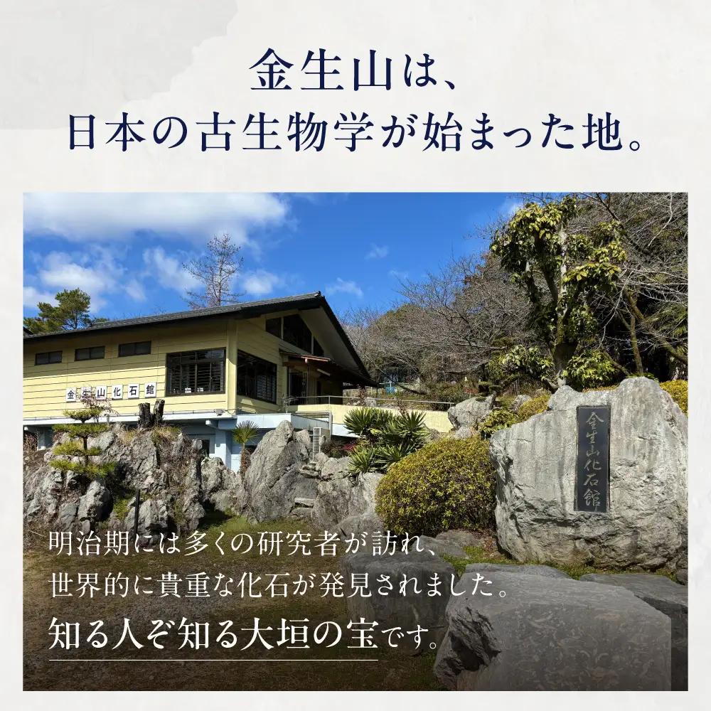 金生山化石 トートバッグ A4 対応｜トートバッグ