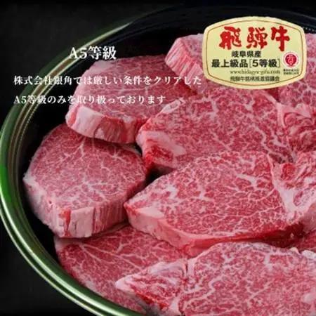 【毎月定期便】厚切り【飛騨牛】サーロインステーキ500g(250g×2枚)全12回【配送不可地域：離島】【4083372】