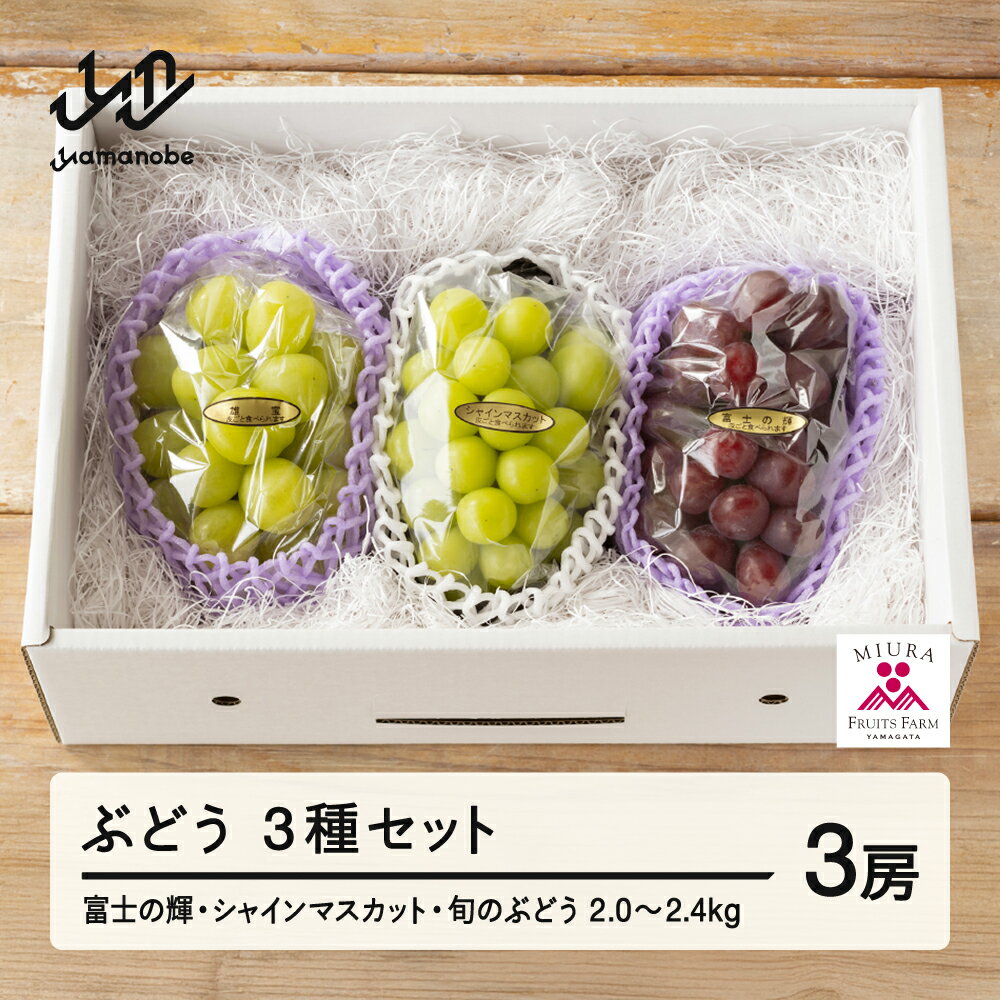 【ふるさと納税】先行予約 ぶどう 富士の輝 シャインマスカット 他1種 3種セット 令和7年産 2025年産 山形県山辺町産 ブラックシャインマスカット フルーツ 果物 bg-bu3xx2000
