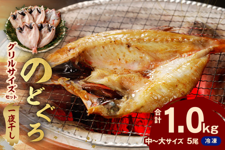 のどぐろ専門店シーライフ のどぐろ一夜干し5枚で計1.0kg「グリルサイズセット」 魚 干物 干もの 一夜干し 手頃 小分け 個包装 産地直送 のどぐろ 人気 贈答 ギフト プレゼント 【1570】