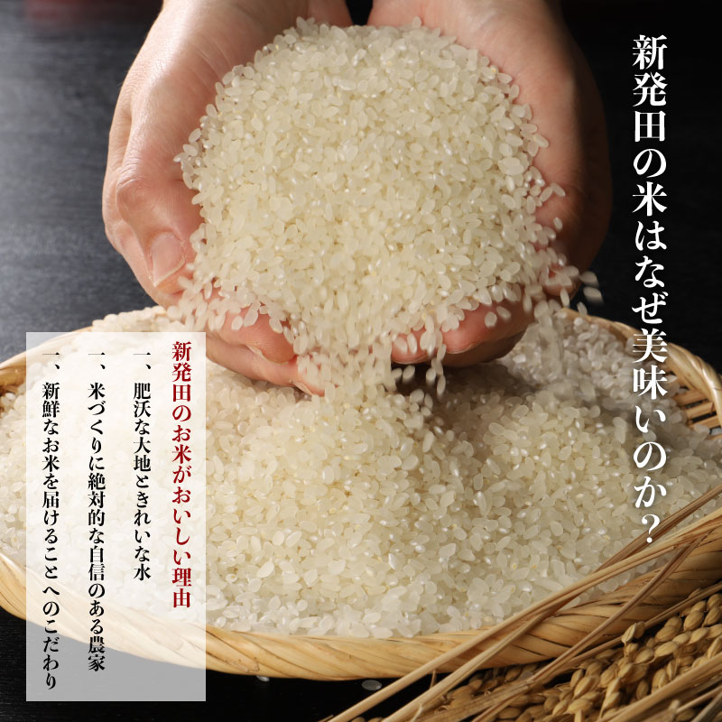 令和6年産 月岡温泉米コシヒカリ 10kg【  新潟 新潟県 米 10kg  コシヒカリ　月岡温泉米  5kg 2袋 新発田産 】  watasho002