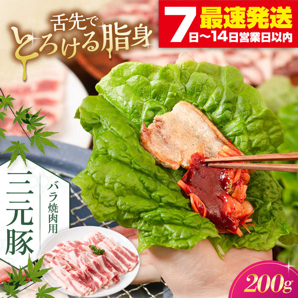 【ふるさと納税】平田牧場 バラ 焼肉用 200g 《喜茂別町》【平田牧場】 肉 豚肉 豚バラ バラ カルビ 焼肉 スライス 冷凍 冷凍配送 北海道 平田牧場 三元豚 [AJAP133] 8000 8000円 8千円