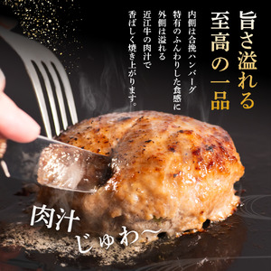 ハンバーグ10個 近江牛入り [RM201_FW]ハンバーグ