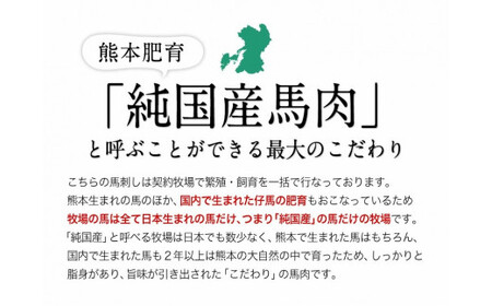 手作りハン馬ーグ 100g×10個 馬肉100%配合！【熊本肥育】ハンバーグ たっぷり 冷凍 お中元 肉 お手軽 お取り寄せ《30日以内に出荷予定(土日祝除く)》