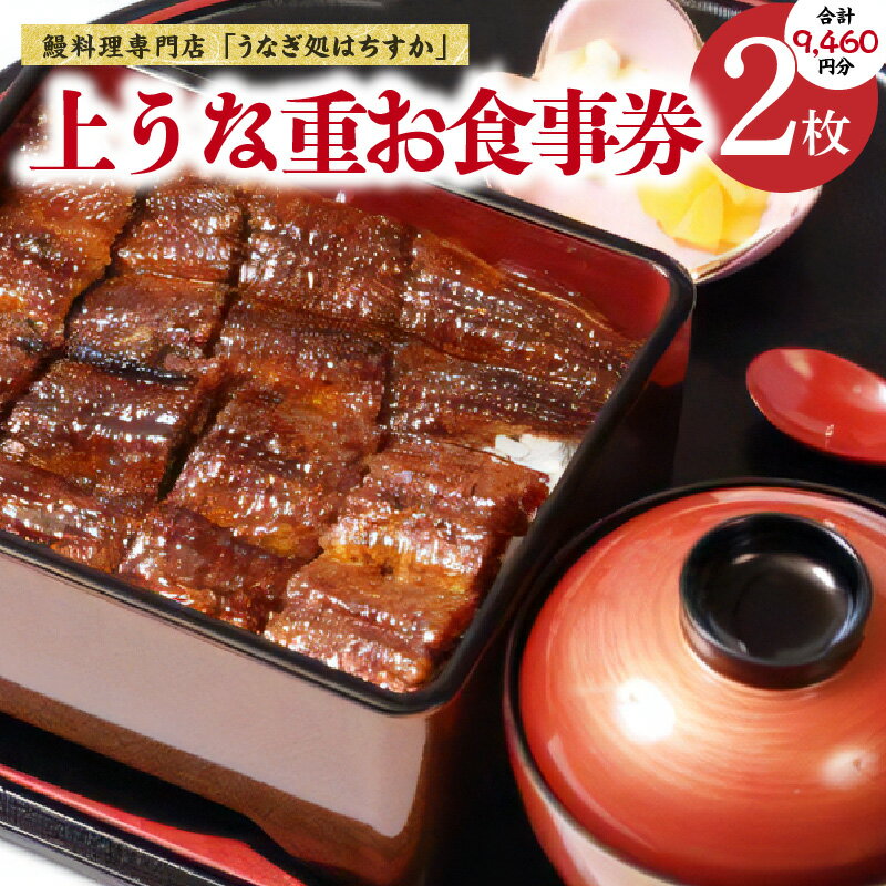 【ふるさと納税】お食事券 2枚 鰻料理専門店 うなぎ処はちすか 鰻 食事券 碧南市 国産 日本料理 うなぎ 蒲焼 白焼き 肝 出汁 うな丼 うな重 上うな重 ひつまぶし 食事 券 チケット うなぎ屋