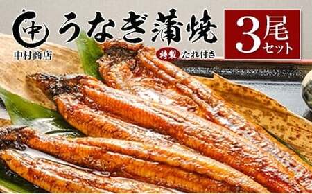◆中村商店 うなぎ蒲焼3尾セット 計543g以上