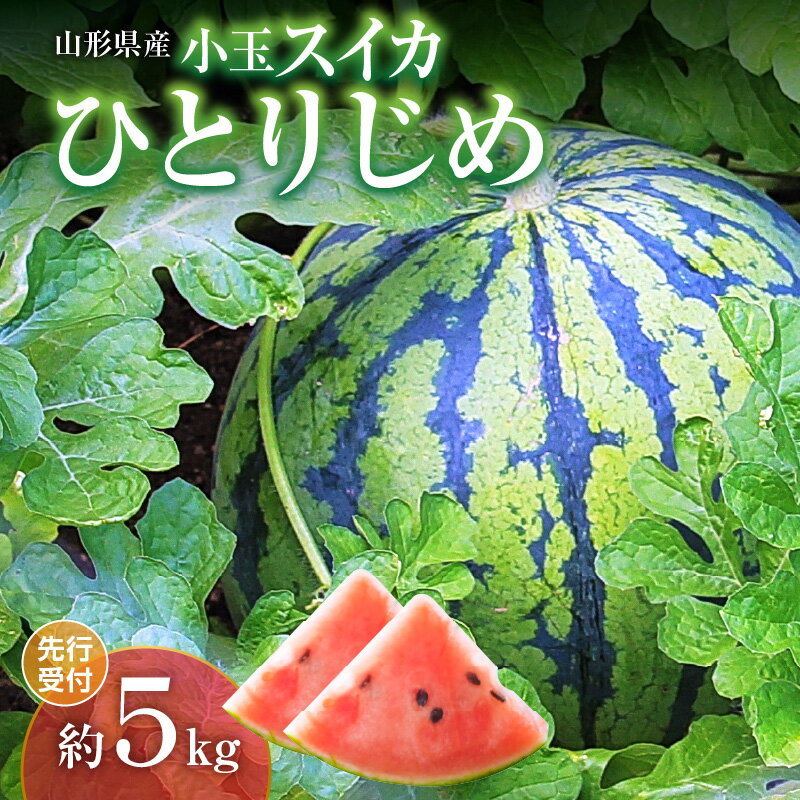 【ふるさと納税】《先行受付》小玉スイカ ひとりじめ 約5kg【2025年7月上旬頃〜発送予定】【山形県産 西瓜】