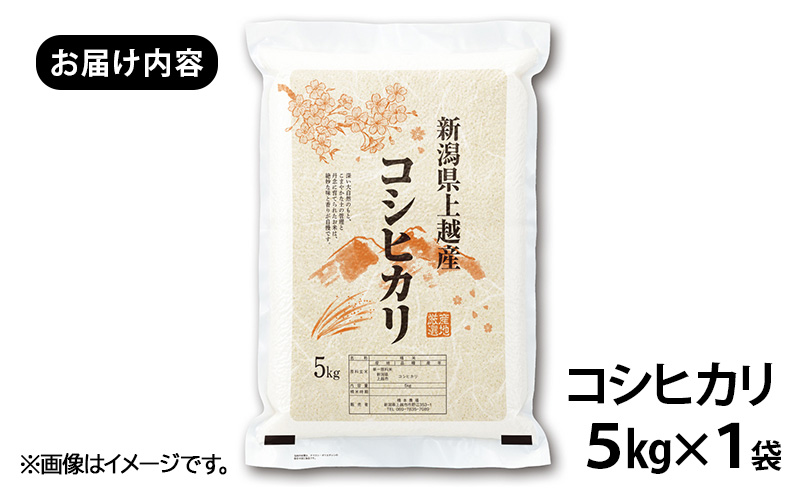 先行予約 令和8年産 新潟県上越市産 栽培期間中 農薬不使用 コシヒカリ 5kg 精米 米 橋本農場