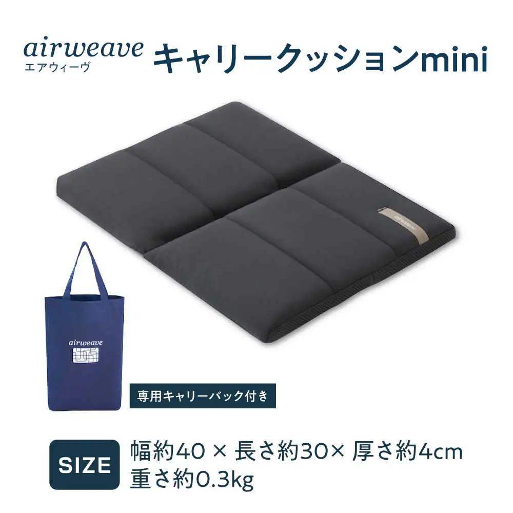 エアウィーヴ キャリークッション mini[AQBV177] エアウィーヴ 新商品
