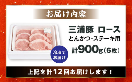 【12回定期便】 三浦豚 豚肉 ロース900ｇ（ステーキ / 恵那市 / あづま精肉店 [AUDL011]