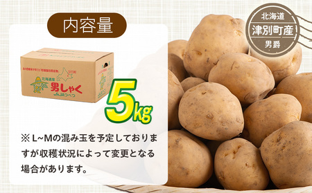 R7年産先行受付 じゃがいも 5kg 特別栽培（男爵） | ジャガイモ 芋 男爵 馬鈴薯 大容量 新鮮 野菜 煮物 カレー シチュー ポテト 保存 特産 産地直送 北海道 津別町 送料無料