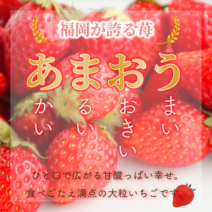 あまおう苺280g×2パック あまおう｜あまおう いちご TJI【3月発送】																		 																あまおう苺																						
