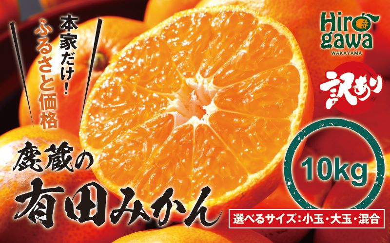 鹿蔵の 有田 みかん 訳あり 10kg 光センサー 選果 / 温州みかん 有田みかん 甘い 家庭用 和歌山 柑橘 ※2026年11月順次発送予定 ※北海道・沖縄・離島への配送不可 【ikd004-cm-10-novC】