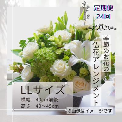 ふるさと納税 筑西市 【2週間毎定期便】仏花アレンジメント/LLサイズ〜花瓶不要!届いてそのまま飾れます全24回