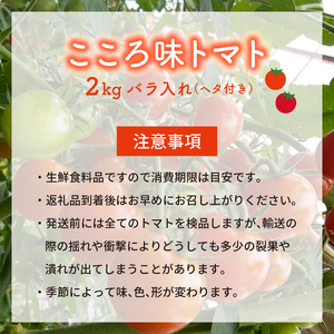 トマト プチトマト ミニトマト 就労支援 