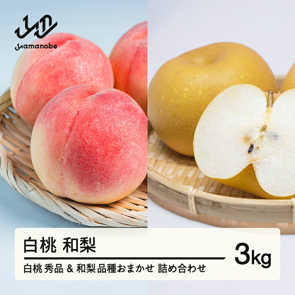 【ふるさと納税】《先行予約》もも 白桃 秀品 和梨 詰め合わせ 品種おまかせ 化粧箱入り 3kg フルーツ 果物 アソート 2026年産 令和8年産 山形県産 送料無料 ns-fshnx3※沖縄・離島への配送不可