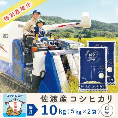 ふるさと納税 佐渡市 【毎月定期便】佐渡島産コシヒカリ 白米10Kg(5Kg×2袋) 特別栽培米 土屋農園 農家直送全3回
