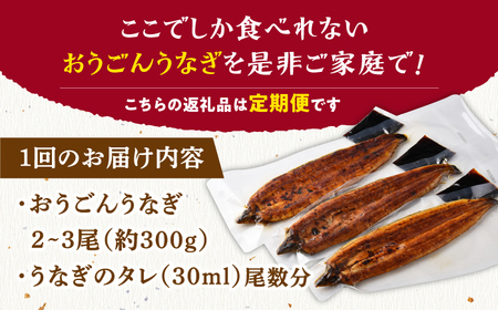 【12回定期便】おうごん うなぎ 300g【（有）松永水産】[KAB140]/ 長崎 平戸 魚介類 魚 うなぎ 鰻 ウナギ うなぎ 蒲焼 うなぎ かばやき うなぎ うなぎ蒲焼き うなぎ おうごんうなぎ