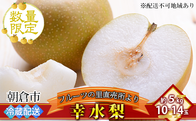 フルーツの里の直売所より 幸水梨 5kg 九州の梨 天然の甘み 安心 安全 お歳暮 ギフト ※配送不可：離島