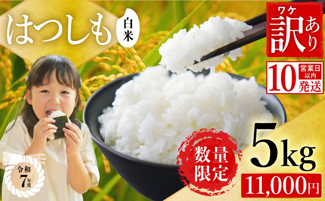 
                  【訳あり】【今だけ寄付額改定！在庫なくなり次第終了】【岐阜県代表品種】令和7年産ハツシモ米 【白米】5kg 寄付額改定 数量限定 期間限定 M8
                