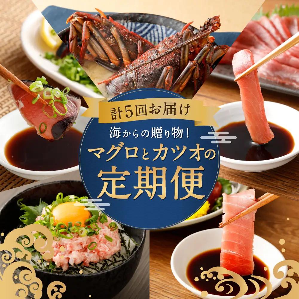 【5回お届け定期便】タカシン水産 人気 定期便 FN-Limited-PR