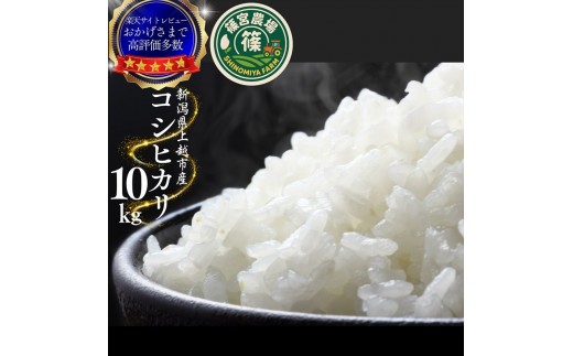 
                  令和8年産【11月中旬配送】 新米 先行予約 新潟県産 コシヒカリ 10kg 最高品質のお米を追求し続ける 篠宮農場 上越市 精米
                
