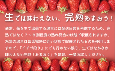 令和6年産 冷凍イチゴ3.5kg（あまおう）※2024年4月以降順次発送予定　VZ002