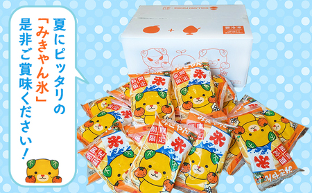 ＜袋かき氷 みきゃん氷 20袋セット せい坊オリジナルグッズ2点＞ かき氷 みかん味 オレンジ味 135ml 氷菓 シャーベット 袋氷 かきごおり こおり スイーツ 温州みかん 菓子 株式会社英俊 愛