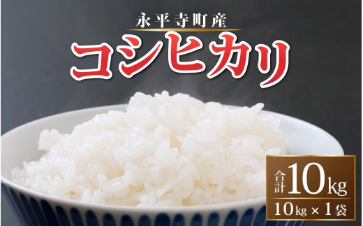 【白米】 令和７年度産 永平寺町産 コシヒカリ 10kg 米 精米 米 お米 コメ 送料無料 こしひかり 福井 [B-033005]　
