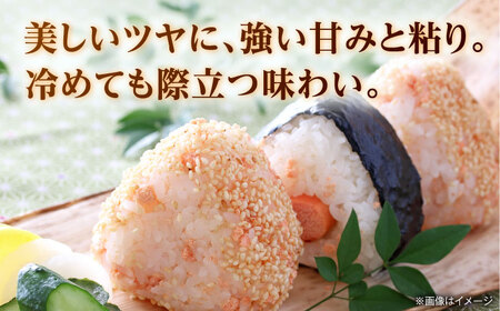【先行予約】くまさんの輝き 5kg 白米 山鹿市産【奥村果実園】[ZFK016]