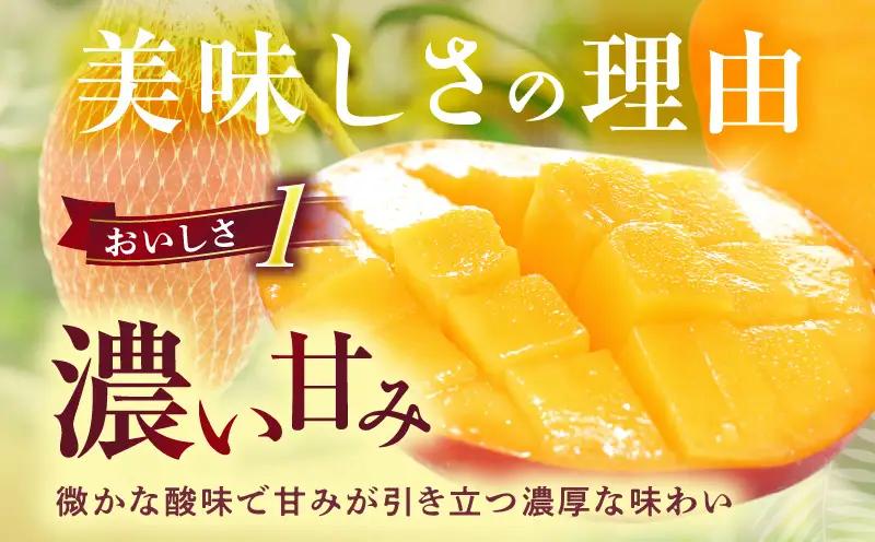 宮崎県産 完熟マンゴー 2玉 2L_b0954_ww