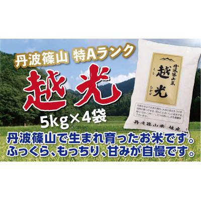 ふるさと納税 丹波篠山市 丹波篠山産　特Aランク　越光　(5kg×4袋)