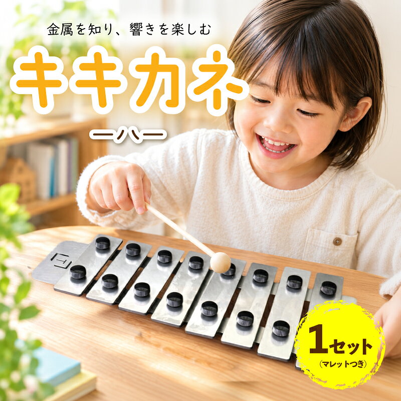 【ふるさと納税】 キキカネ-八- マレットつき 1セット 知育 知育玩具 知育楽器 楽器 鉄琴 てっきん 子ども 赤ちゃん baby ベビー用品 出産祝い クリスマス 誕生日 プレゼント オモチャ 発育 金属 ステンレス 神奈川県 平塚市 株式会社タシロ