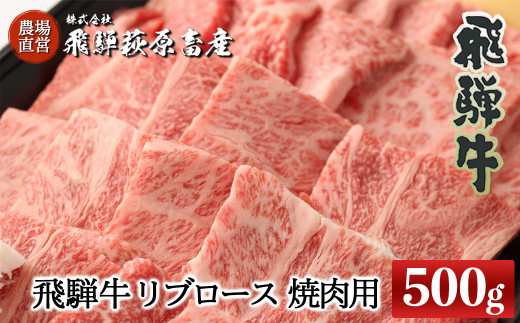 飛騨牛リブロース  500g（焼肉用）国産 牛肉 ブランド牛 おすすめ 高級 やきにく 焼き肉 ギフト 贈答【冷凍】