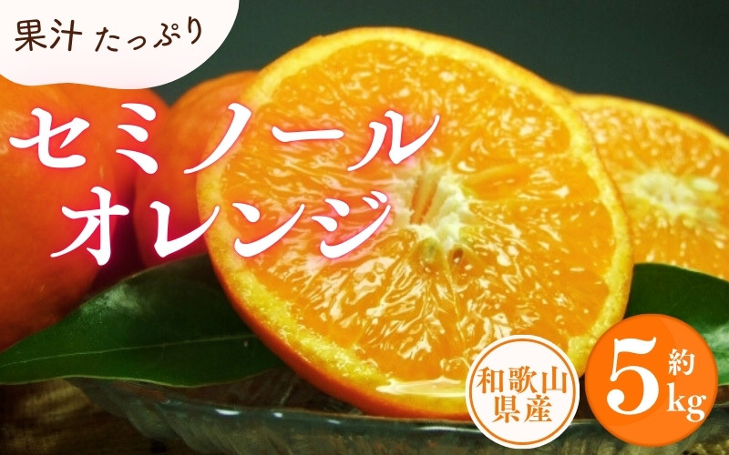 
セミノールオレンジ 約5kg/サイズおまかせ　※2025年4月中旬～2025年5月下旬頃に順次発送予定(お届け日指定不可)　紀伊国屋文左衛門本舗【kztb481A】
