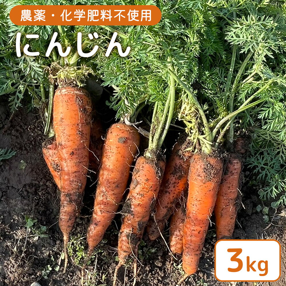 【ふるさと納税】【農薬・化学肥料不使用】にんじん3kg | 農薬不使用 化学肥料不使用 にんじん 人参 野菜 国産 やさい 宮城 宮城産 お取り寄せ 宮城県 白石市 白石【55009】