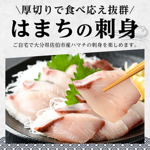 ハマチ 刺身 セット （計400g・ハマチ100g×4皿、醤油30ml×4個） はまち タレ 魚 魚介 鮮魚 海鮮 刺し身 小分け 【opbe009】【水元】