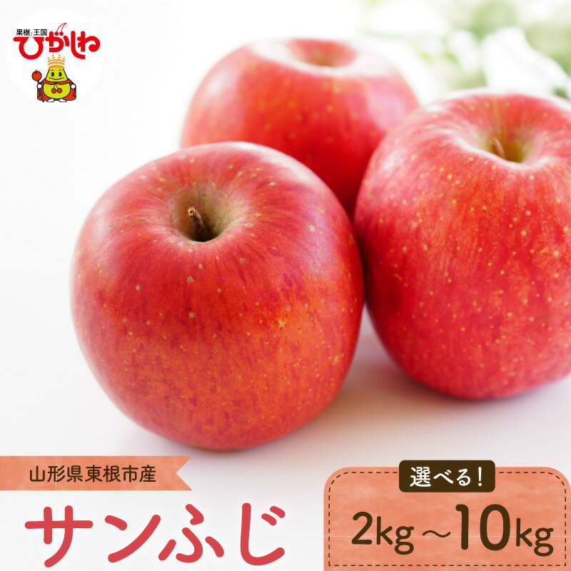 りんご「サンふじ」 2024年産 選べる内容量 2kg 3kg 5kg 10kg リンゴ 林檎 アップル フルーツ 果物 くだもの 秋 旬 お試し お取り寄せ 産地直送 ご当地 特産 グルメ 送料無料 東北 山形県 東根市