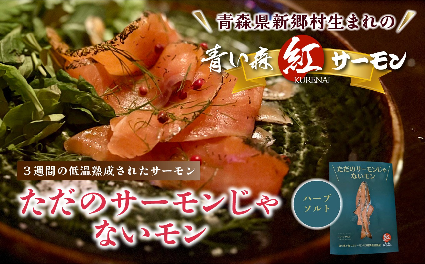 
            サーモンじゃないもん　食べ比べセット2種各1個　50g×2
          