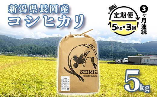 
            N5-053B【3ヶ月連続お届け】新潟県長岡産コシヒカリ5kg
          