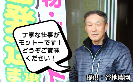 「丁寧な仕事を心掛けます」生産者の谷地さん。