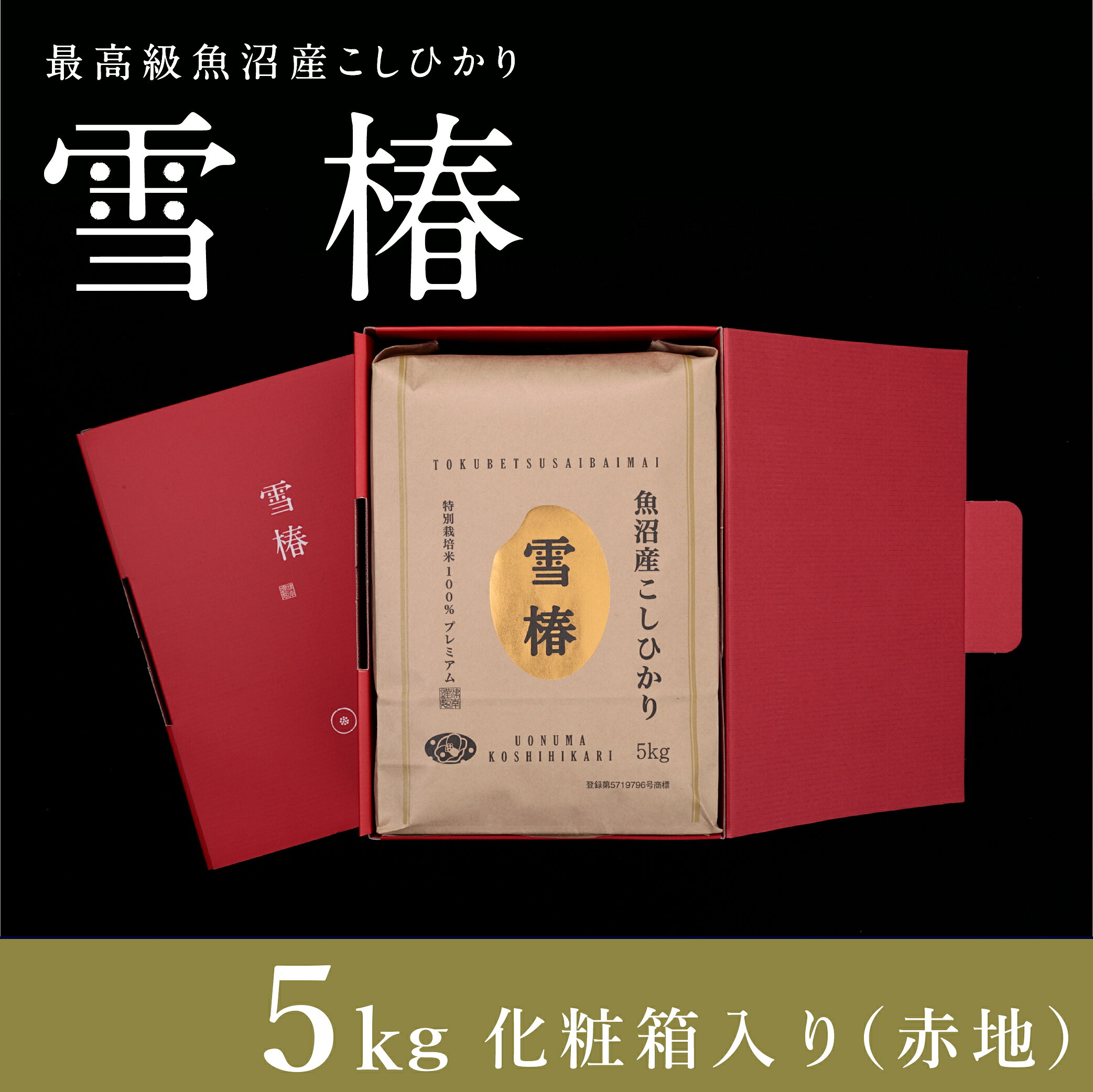【ふるさと納税】令和8年産 先行予約 化粧箱入り 米 5kg 最高級 魚沼産 コシヒカリ 雪椿 新米 特別栽培米 | 魚沼 こしひかり お米 おこめ こめ コメ 白米 精米 ご飯 ごはん ブランド米 おすすめ 人気 新潟県 津南町