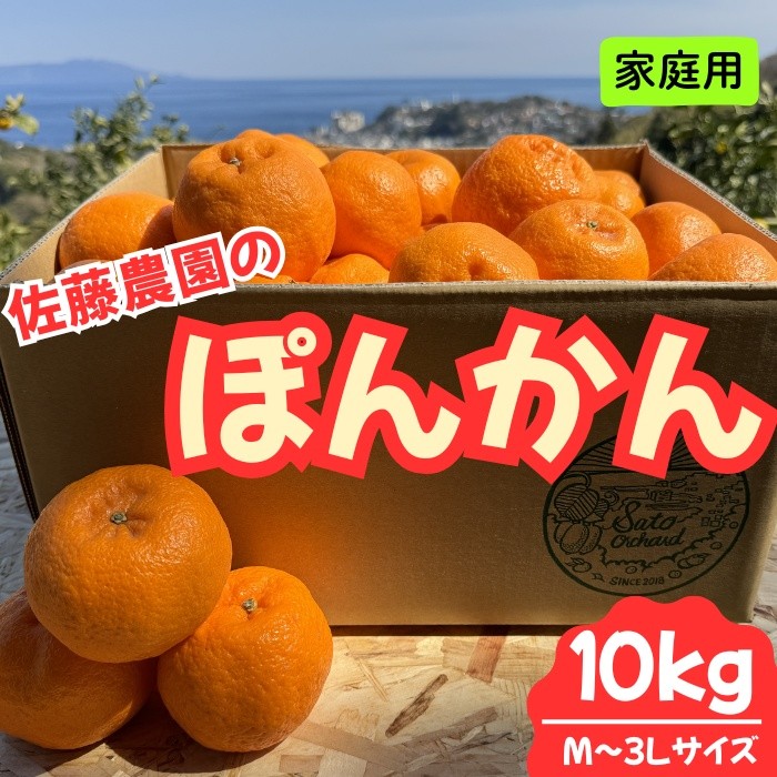 
                  東伊豆・佐藤農園のポンカン　家庭用10kg（Mサイズ～3Lサイズ） 1323 ／ 佐藤農園 果物 フルーツ 農家直送 静岡県 東伊豆町
                