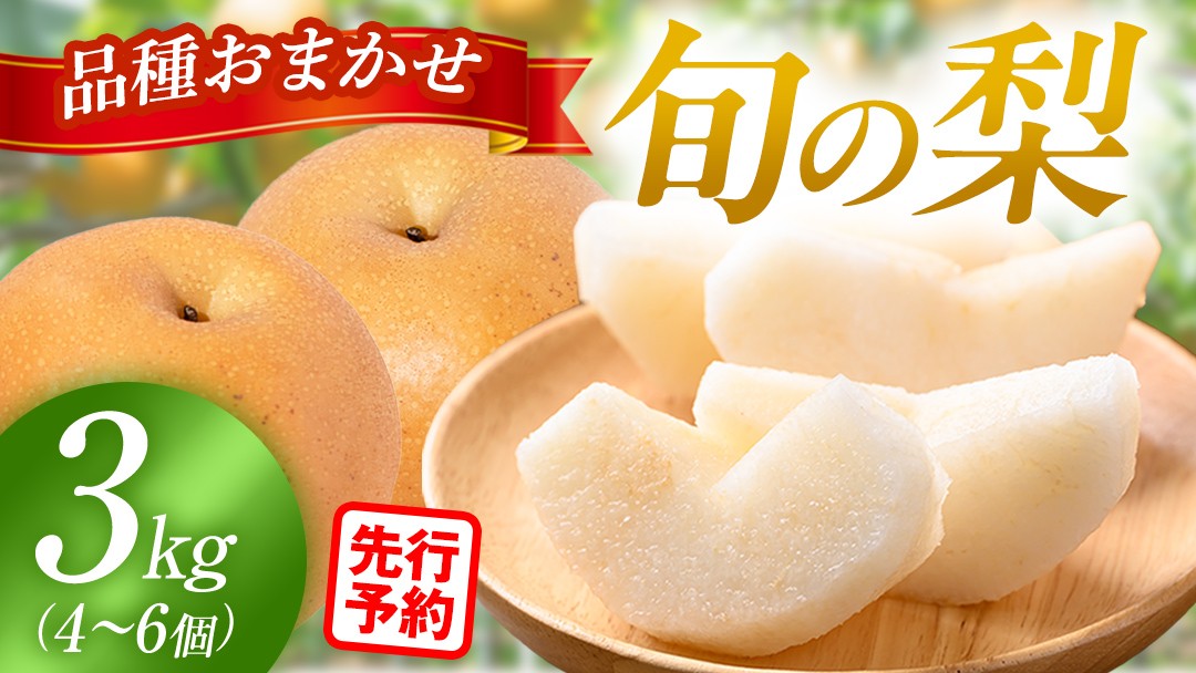 
                  【2026年先行予約】 梨 品種 おまかせ 約3kg（ 4～6個 ） 農家直送 恵水 王秋 あきあかり あきづき りんか 完熟 フルーツ 果物 産地直送 糖度 高い 梨 茨城 人気 （BB008）
                