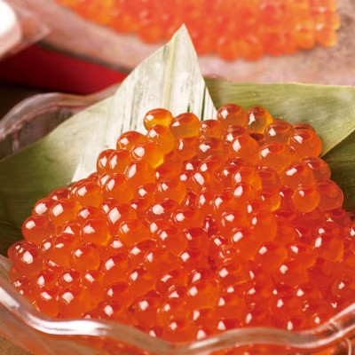 北海道産 鮭いくら醤油漬け 計500g(250g×2パック)【漁協直送】【配送不可地域：離島】【1423870】