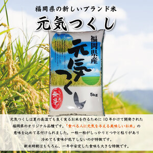 【ふるさと納税】令和6年産 福岡県産食べくらべ(夢つくし 元気つくし ヒノヒカリ)無洗米3品種セット15kg(5kg×3) [a7200] 株式会社 藤食糧 【返礼品】添田町 ふるさと納税