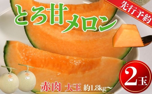 【先行予約】 赤肉とろ甘メロン 大サイズ 2玉 （ 1玉約1.8kg以上 ）  銚子産 弥兵衛 完熟 熟成 メロン 赤肉 果物 フルーツ ギフト プレゼント 贈答 お取り寄せ 高級 デザート スイーツ