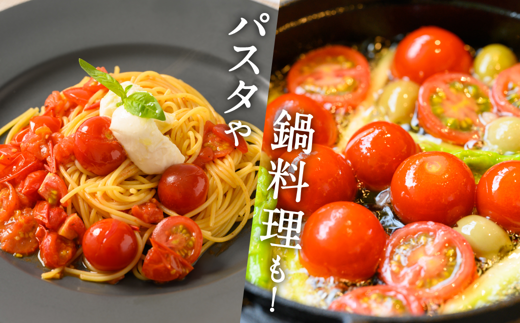 【先行予約】 野菜ソムリエ 岡田健志郎が育てた　ミニトマト 1.2kg以上 トマト とまと 新鮮 サラダ 野菜 やさい 特産品 熊本県 八代市 【2026年12月上旬より順次発送】